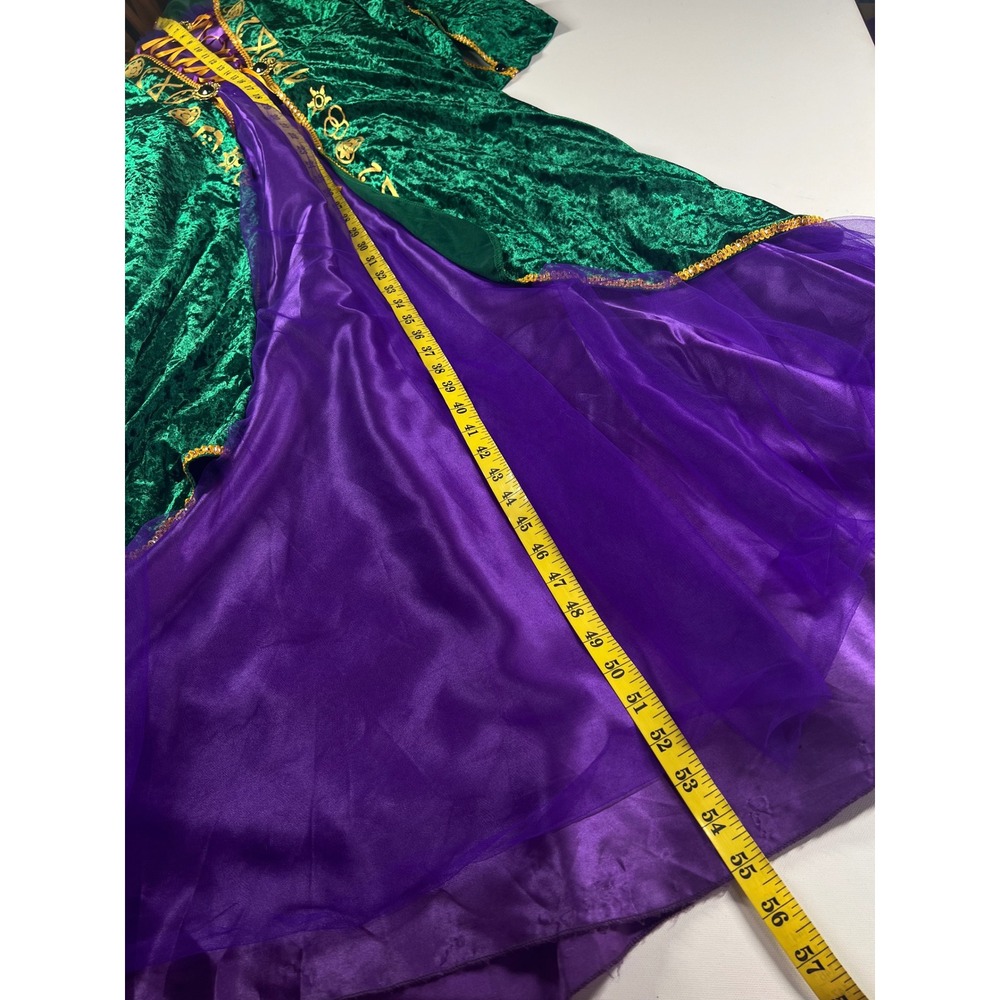 Hocus Pocus Winifred Sanderson Halloween Cosplay Velvet Medieval Gown Medium - Picture 13 of 16